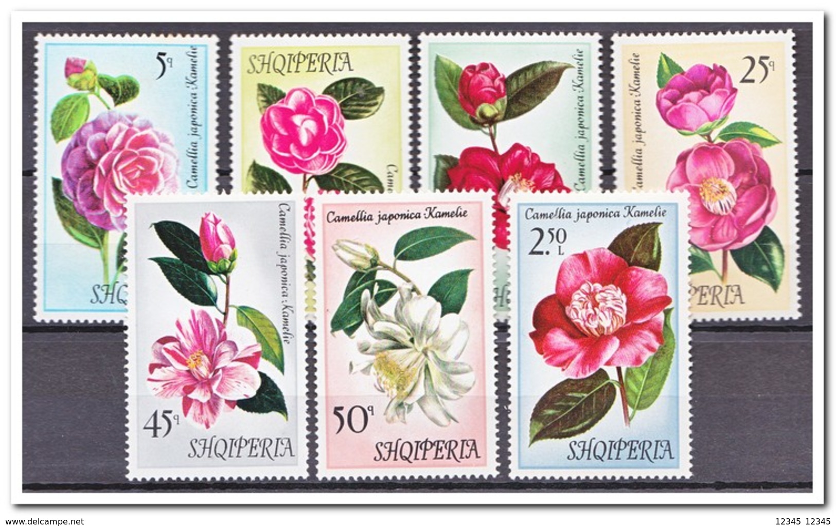 Albanië 1972, Postfris MNH, Flowers - Albanië