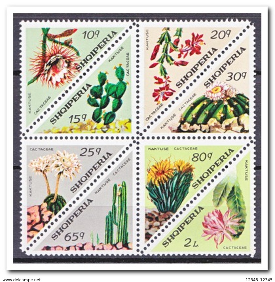 Albanië 1973, Postfris MNH, Cacti - Albanië