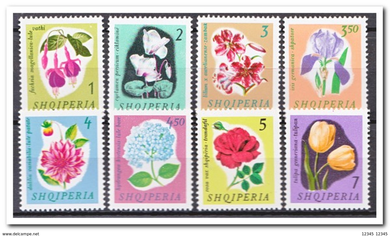 Albanië 1965, Postfris MNH, Flowers - Albanië