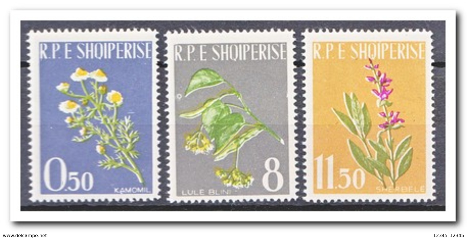 Albanië 1962, Postfris MNH, Plants, Flowers - Albanië