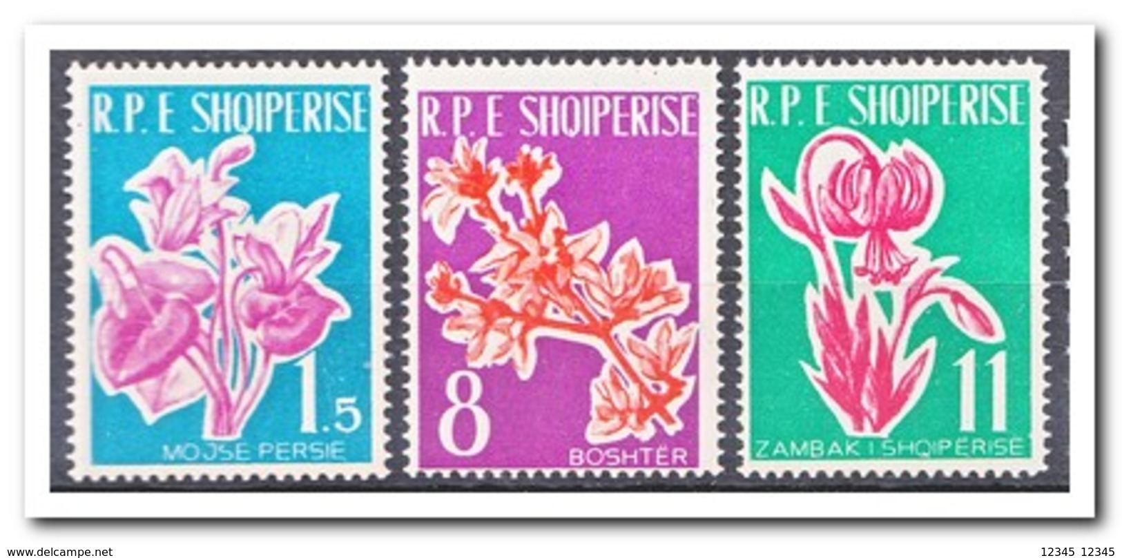 Albanië 1961, Postfris MNH, Flowers - Albanien