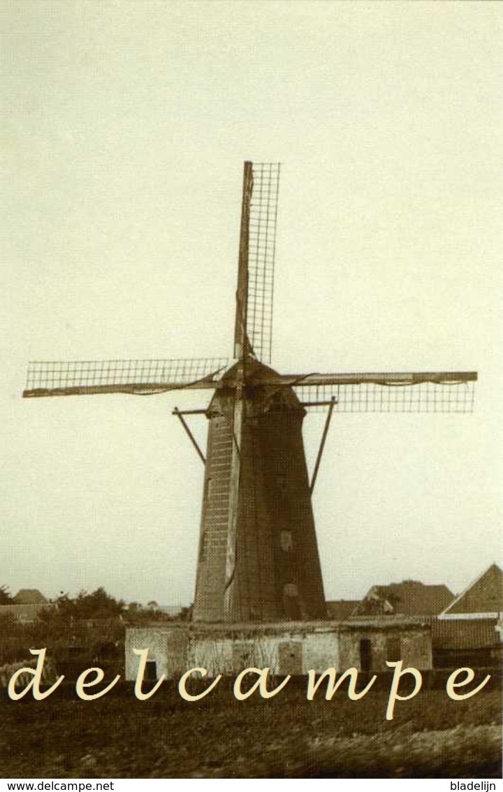 NIJLEN (Antwerpen) - Molen/moulin - Zeldzame Opname Van De Verdwenen Molen Dom Vóór 1914, Thans Romp En Café - Nijlen