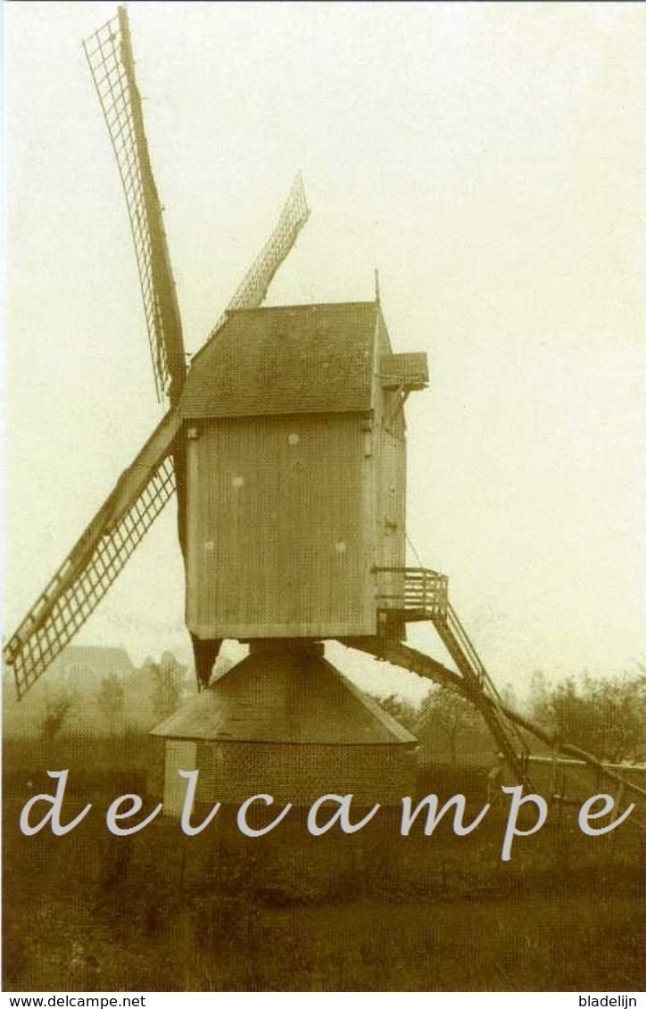 WILMARSDONK (Antwerpen) - Molen/moulin - Zeldzame Oude Opname Van De Verdwenen Molen Rombouts Ca. 1900. TOP! - Antwerpen