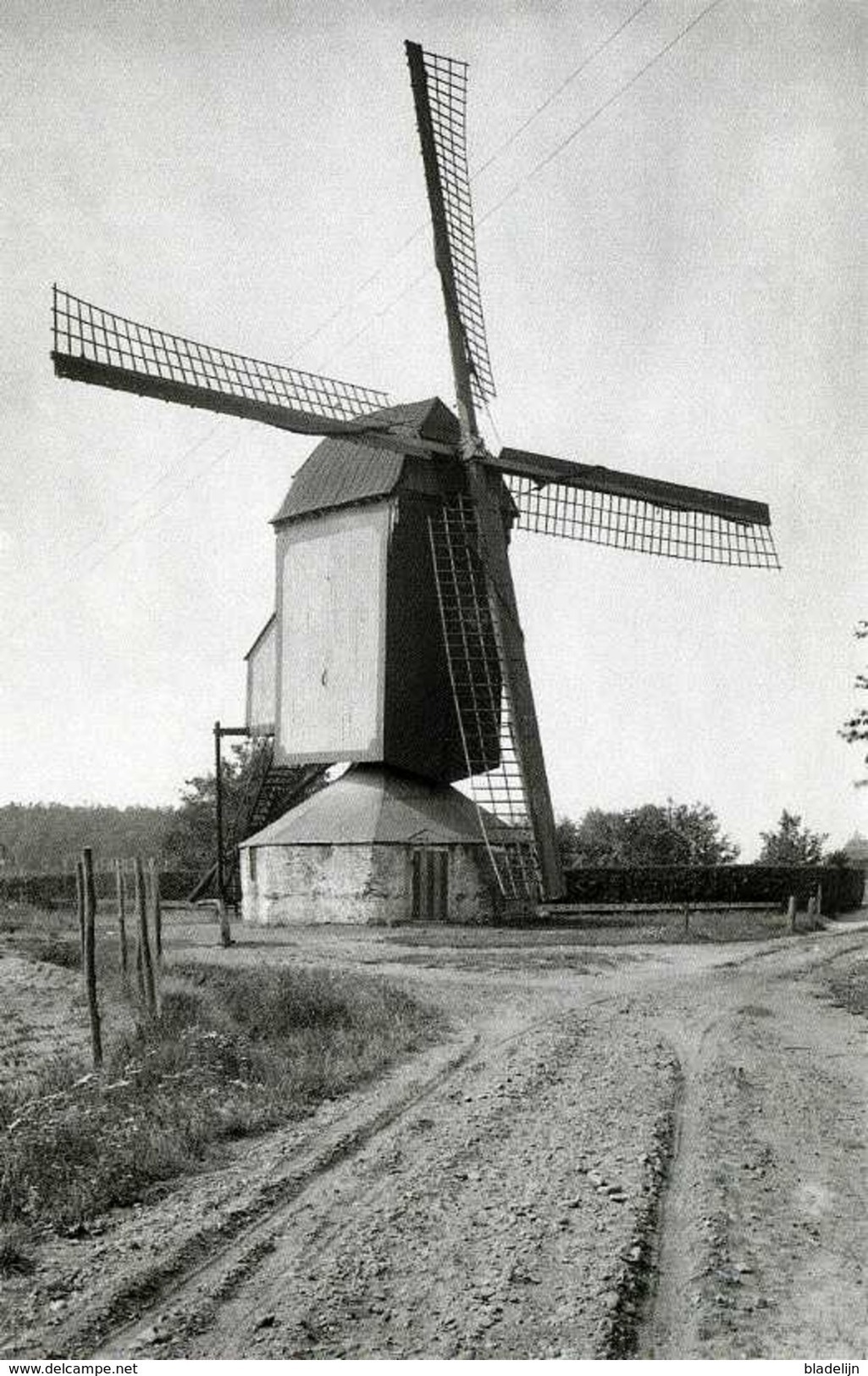 HELDEN - Gem. Peel En Maas (Limburg) - Molen/moulin - De Verdwenen Standerdmolen Op De Molendries In 1929. TOP !!! - Andere & Zonder Classificatie