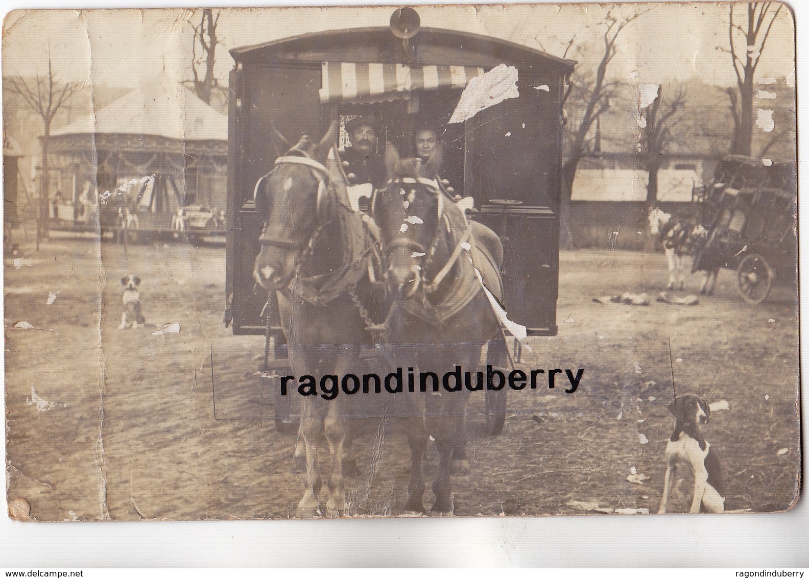 CPA PHOTO - 86 - TERCE (Arrdt POITIERS) - RARE CARTE D'un BOULANGER En ROULOTTE à Chevaux BEAU MANEGE Voir Corresp - Autres & Non Classés