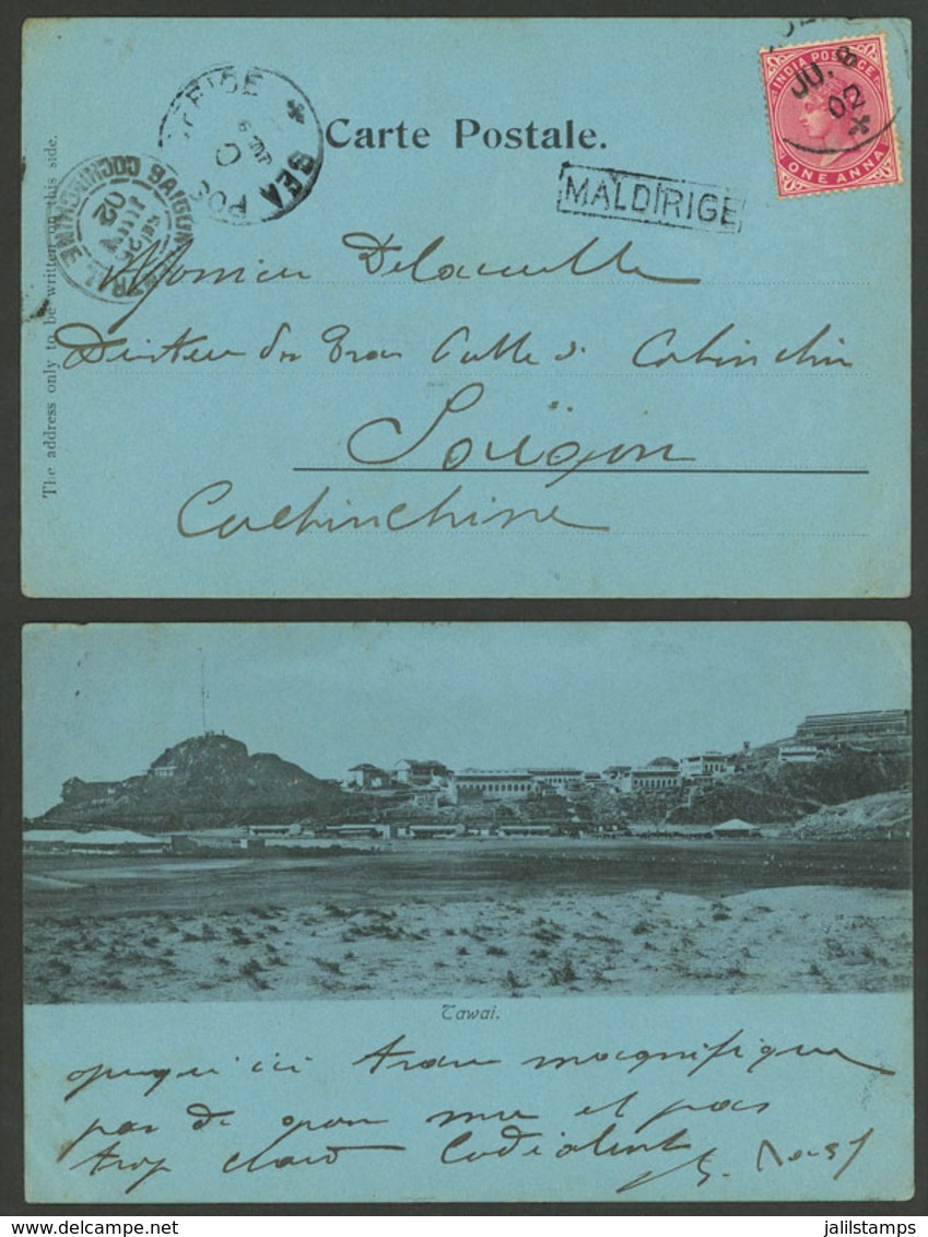 BRITISH INDIA: Beautiful PC With View Of Tawai, Sent To Saigon On 6/JUN/1902 Franked With 1a., Framed "MALDIRIGE" Along  - Sonstige & Ohne Zuordnung