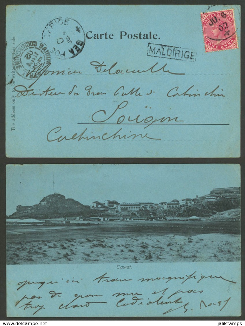 BRITISH INDIA: Beautiful PC With View Of Tawai, Sent To Saigon On 6/JUN/1902 Franked With 1a., Framed "MALDIRIGE" Along  - Altri & Non Classificati