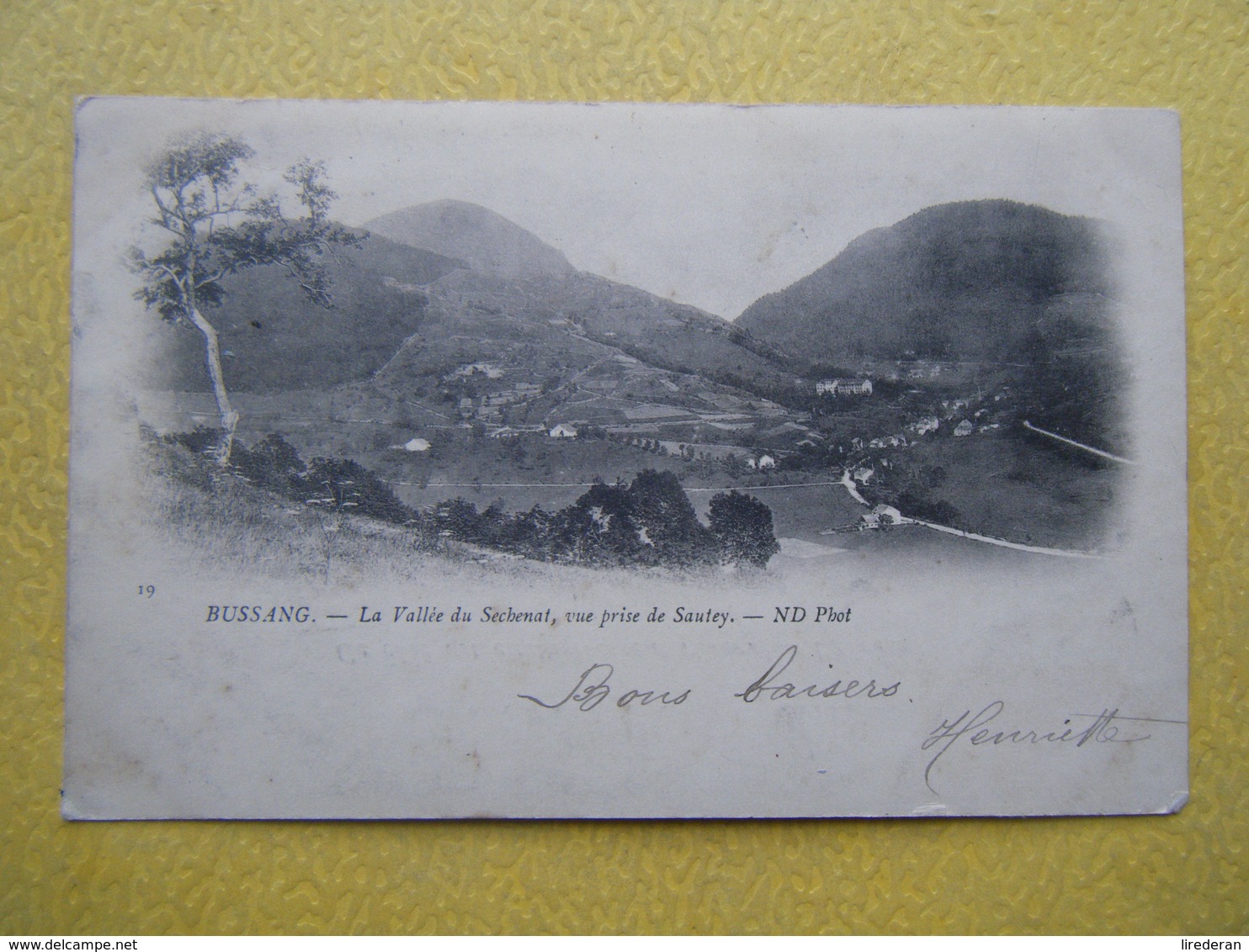 BUSSANG. La Vallée Du Séchenat Vue De Sautey. - Bussang