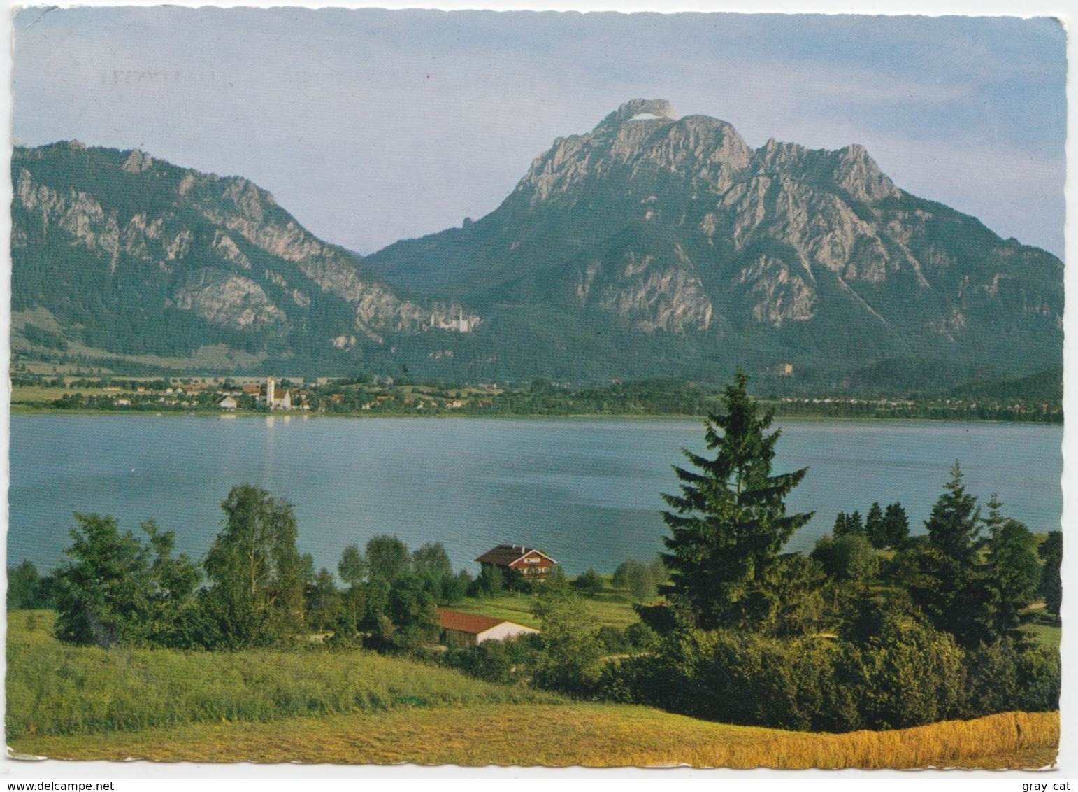 Forggensee Mit Waltenhofen, Konigsschlossern Und Sauling 2047 M., Germany, Used Postcard [22024] - Fuessen