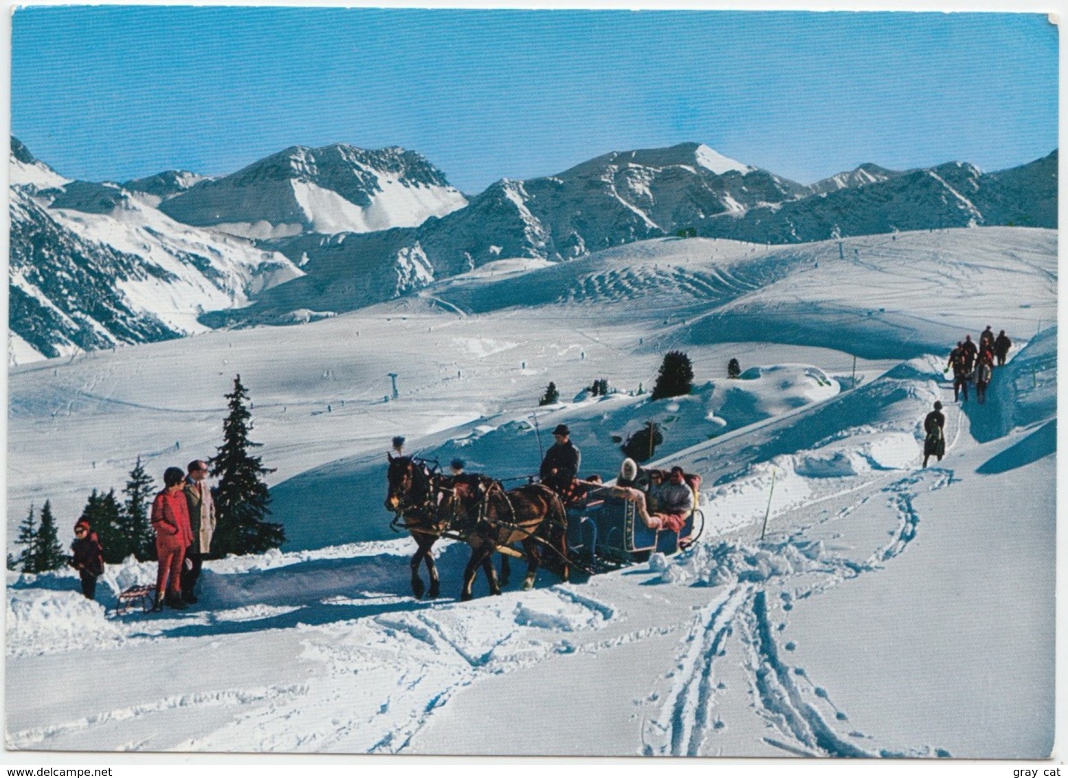 Arosa, Arlenwaldstrasse, 2000m, Switzerland, 1979 Used Postcard [22035] - Arosa