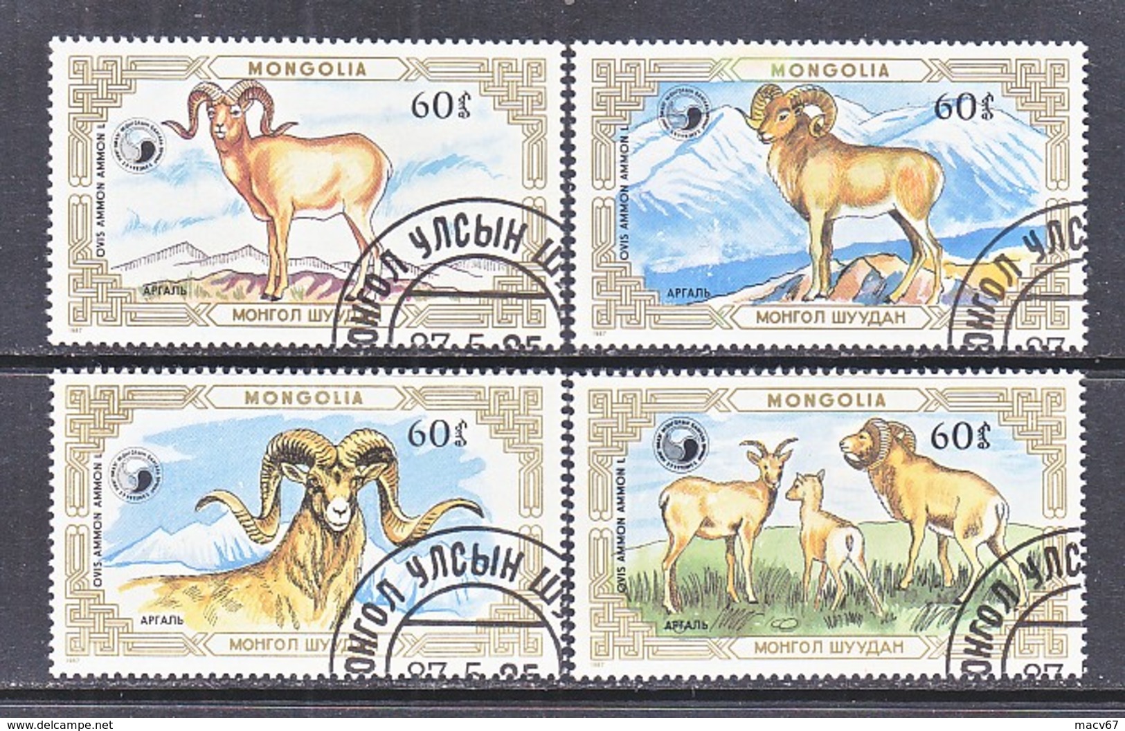 MONGOLIA  1564-7   (o)  MOUNTAIN  RAMS  OVIS  AMMUM - Farm