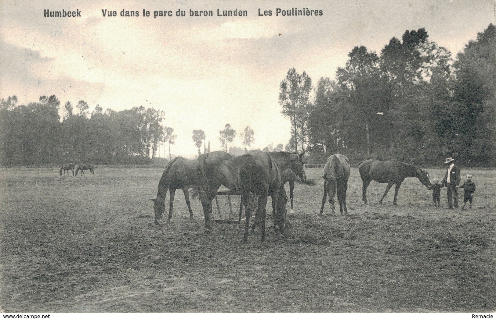 Humbeek  Les Poulinières - Grimbergen