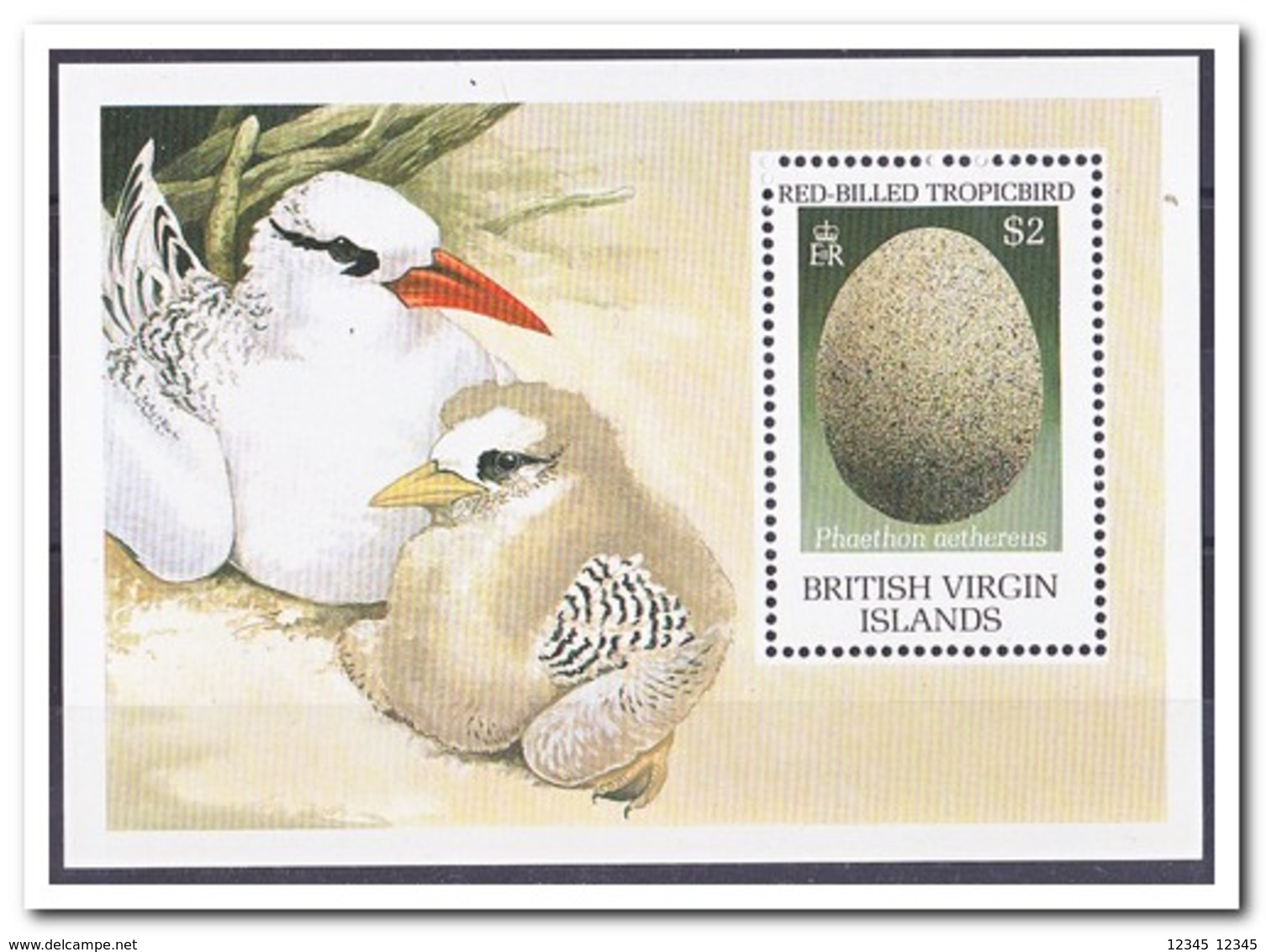 Britse Maagdeneilanden 1990, Postfris MNH, Birds, Egg - Britse Maagdeneilanden