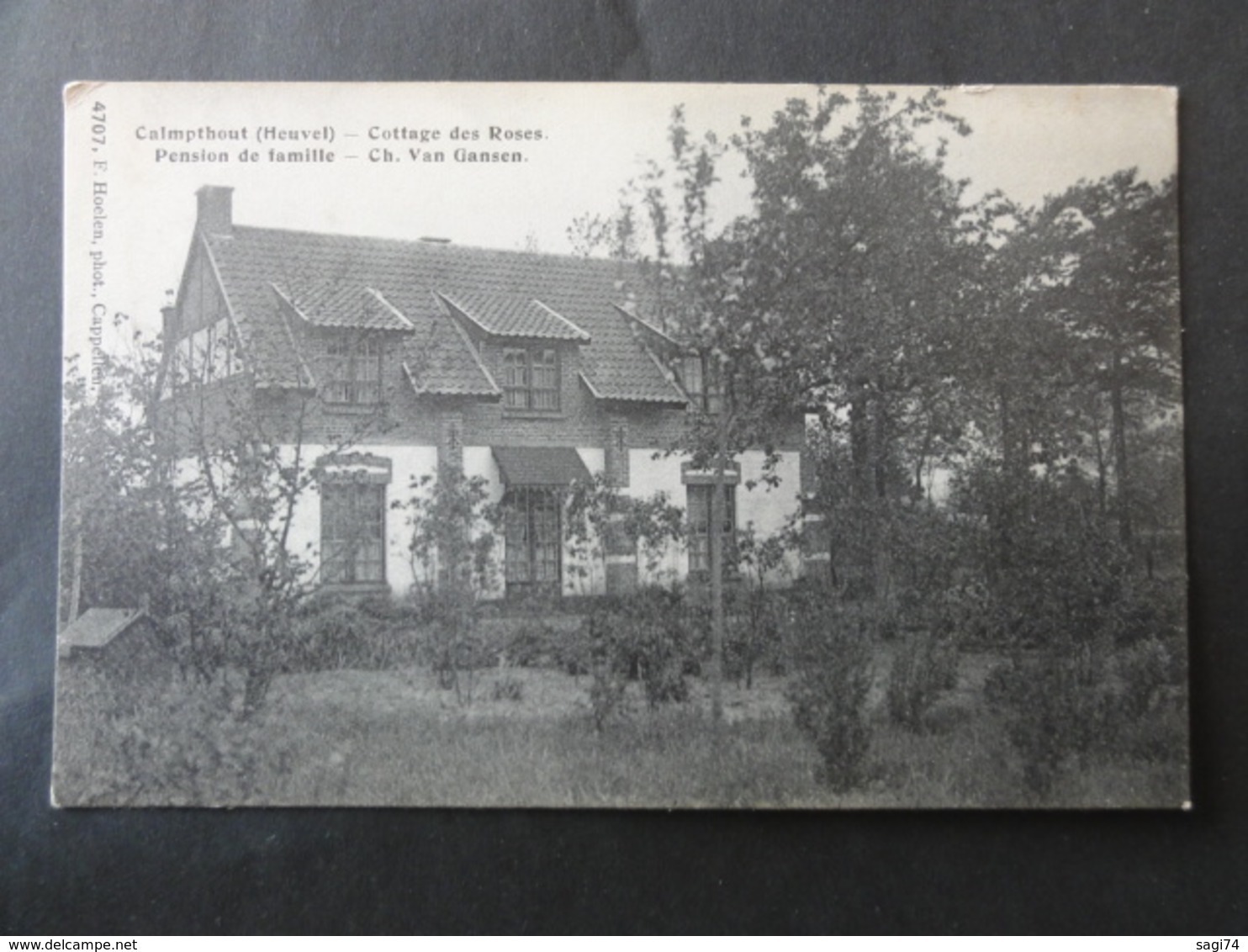 Kalmthout (Heuvel) Cottage Des Roses, Pension De Famille Ch.van Gansen - Kalmthout