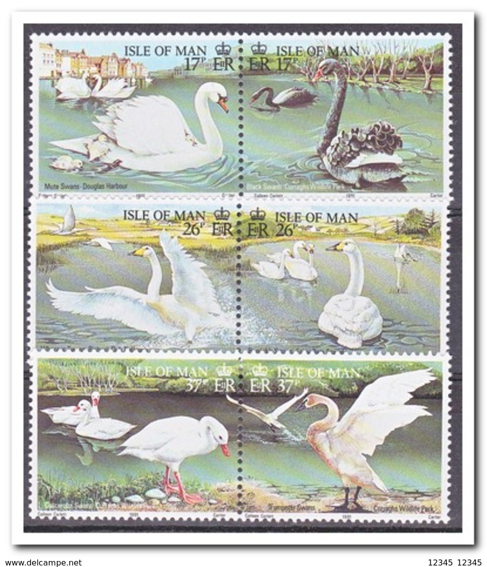 Man 1991, Postfris MNH, Birds, Swans - Isle Of Man