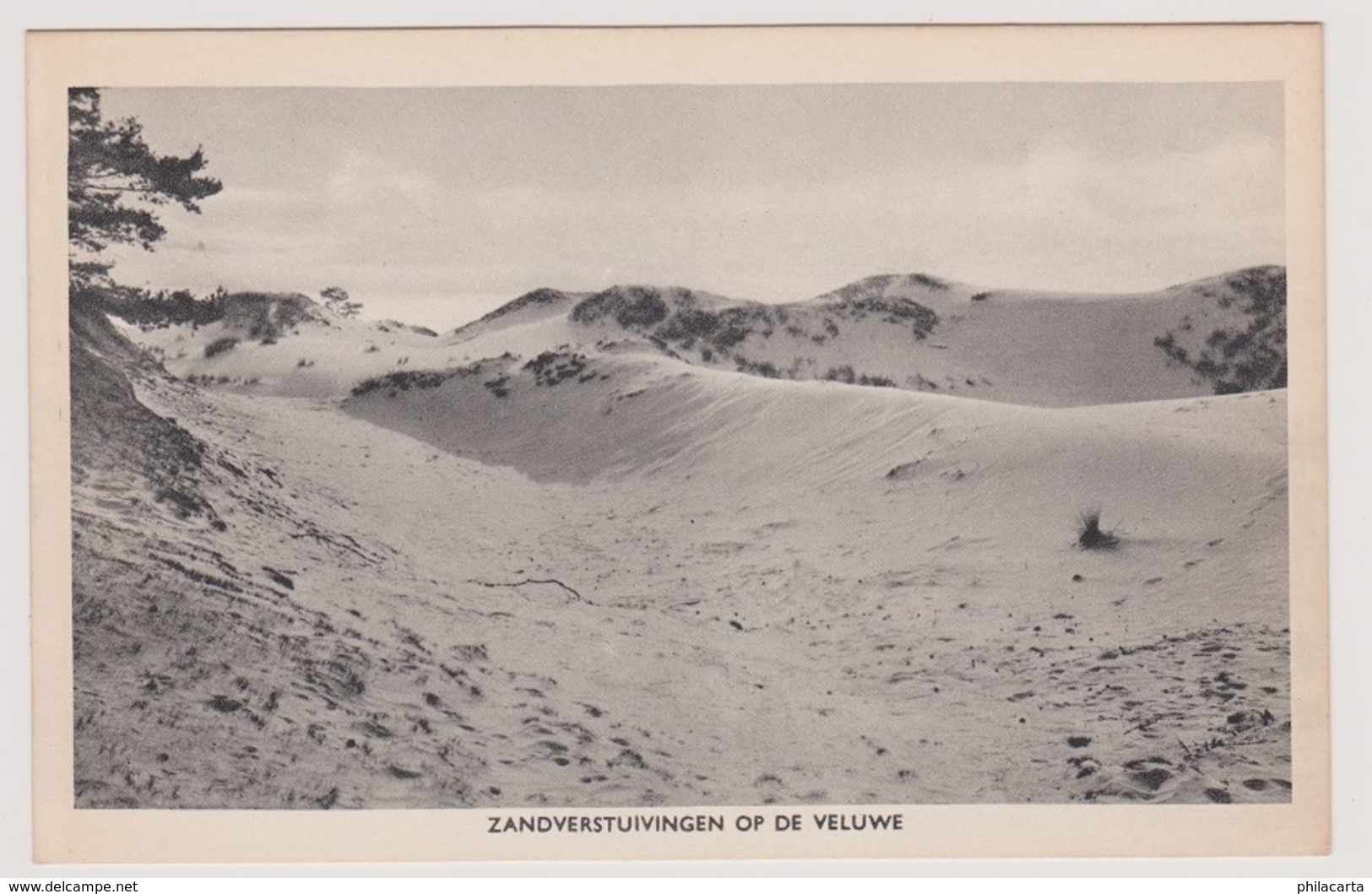 Veluwe - Zandverstuivingen - Andere & Zonder Classificatie