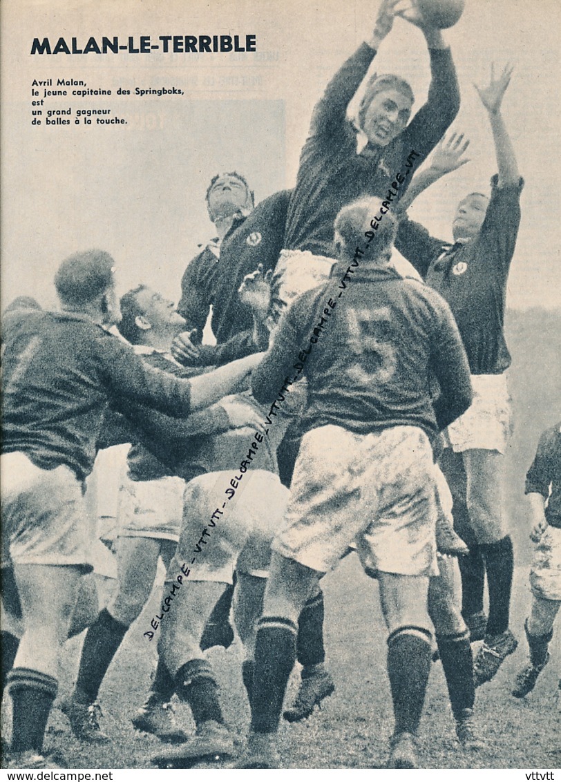 RUGBY : PHOTO, AFRIQUE DU SUD - FRANCE, AVRIL MALAN LE CAPITAINE DES SPRINGBOKS, COUPURE REVUE (1961) - Collections