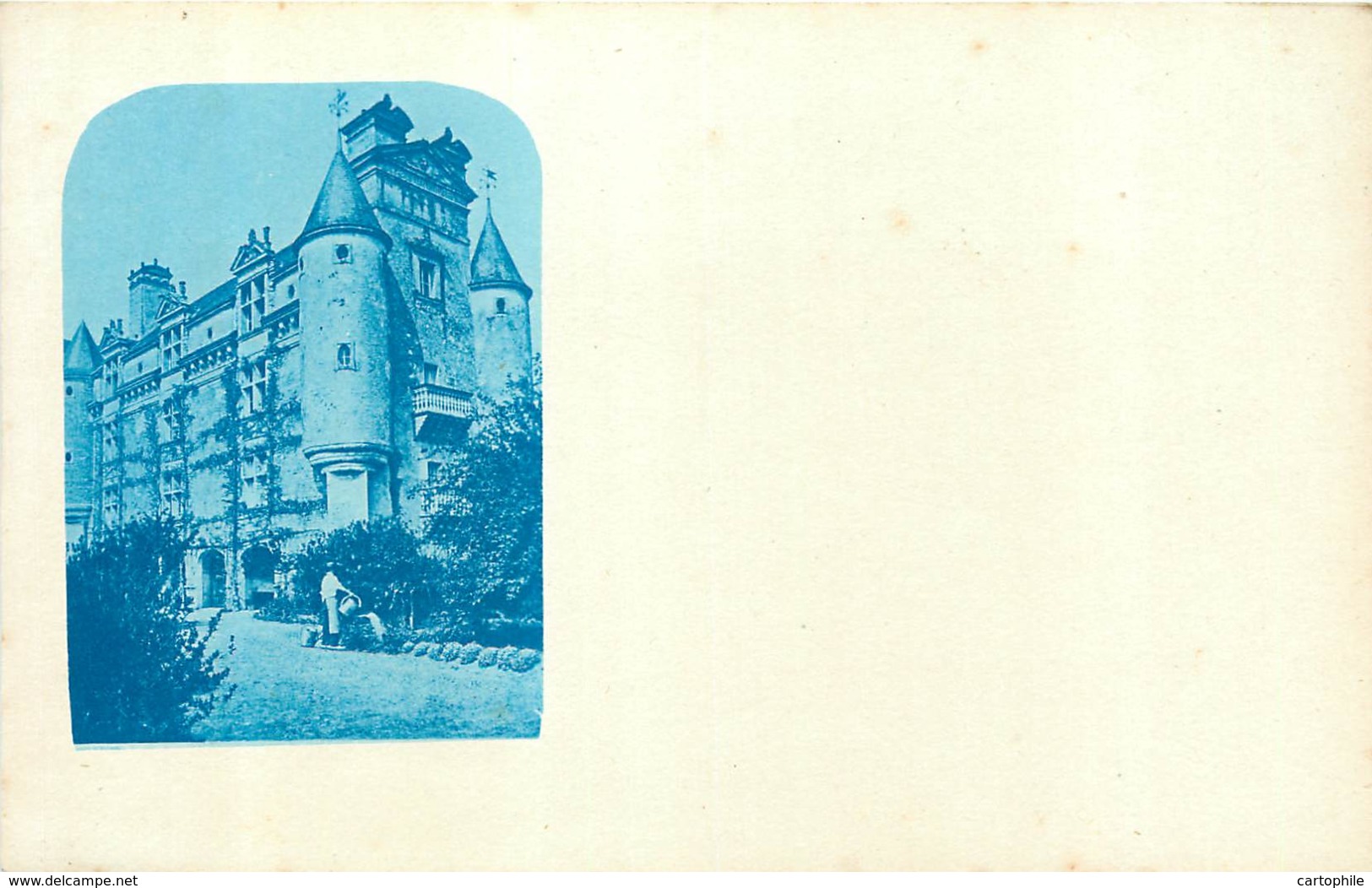 79 - LA VILLEDIEU Pres LA MOTHE ST HERAY - Carte Photo Du Chateau - La Mothe Saint Heray