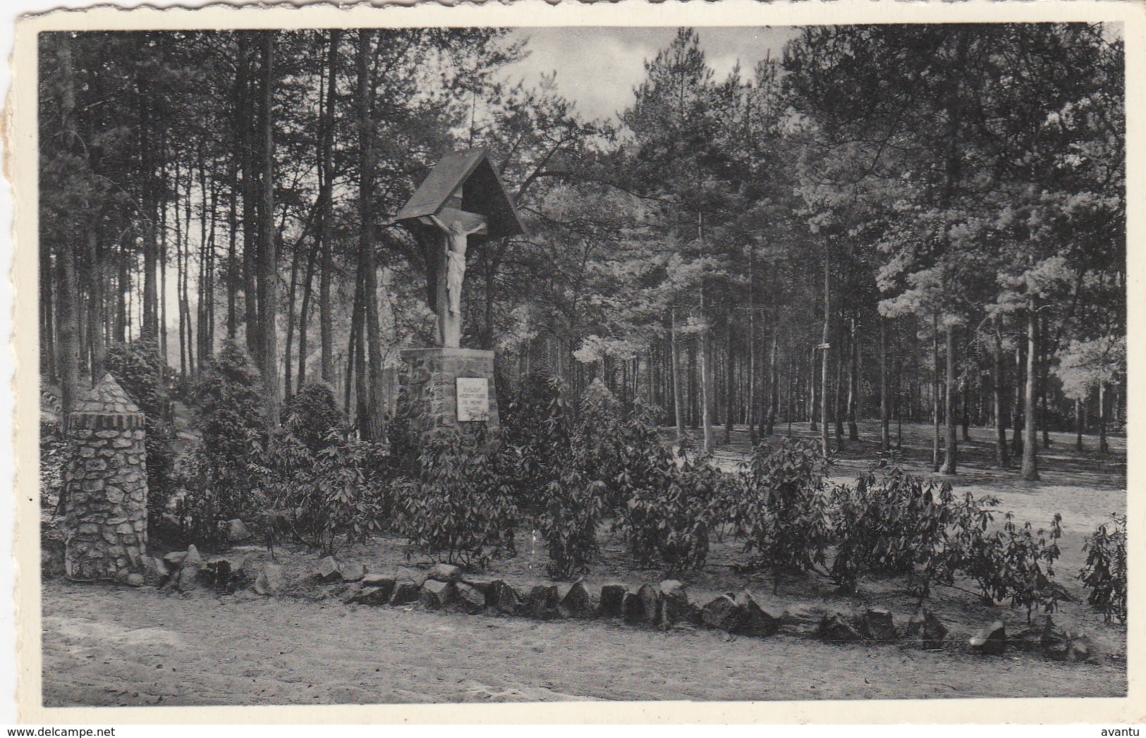 WESTMALLE /  DRIE BOOMKENS BERG - Malle