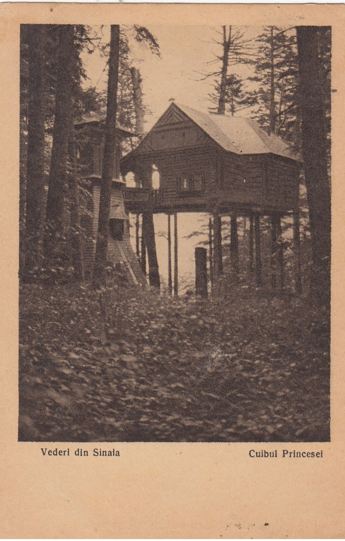 Vederi Din Sinaia , Cuibul Princesel , ROMANIA , 1924 - Roumanie