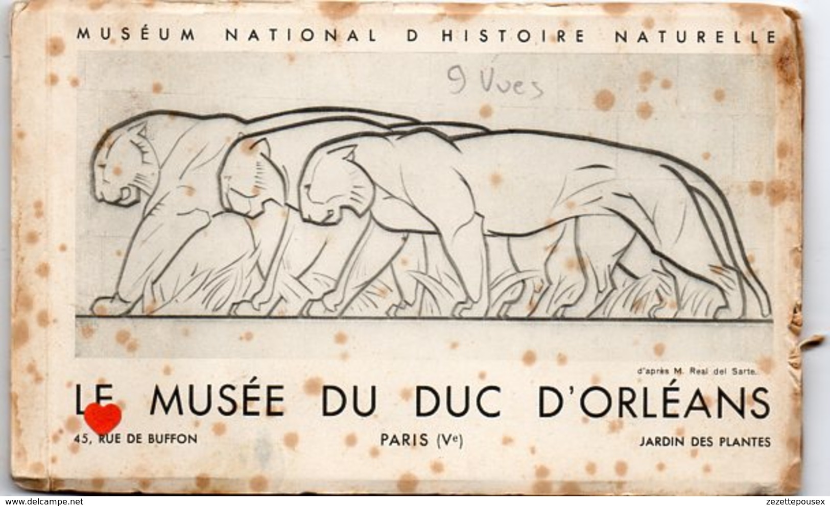 35469-ZE-75-MUSEUM NATIONAL D'HISTOIRE NATURELLE-LE MUSEE DU DUC D'ORLEANS----carnet Album De 9 Vues - Museums