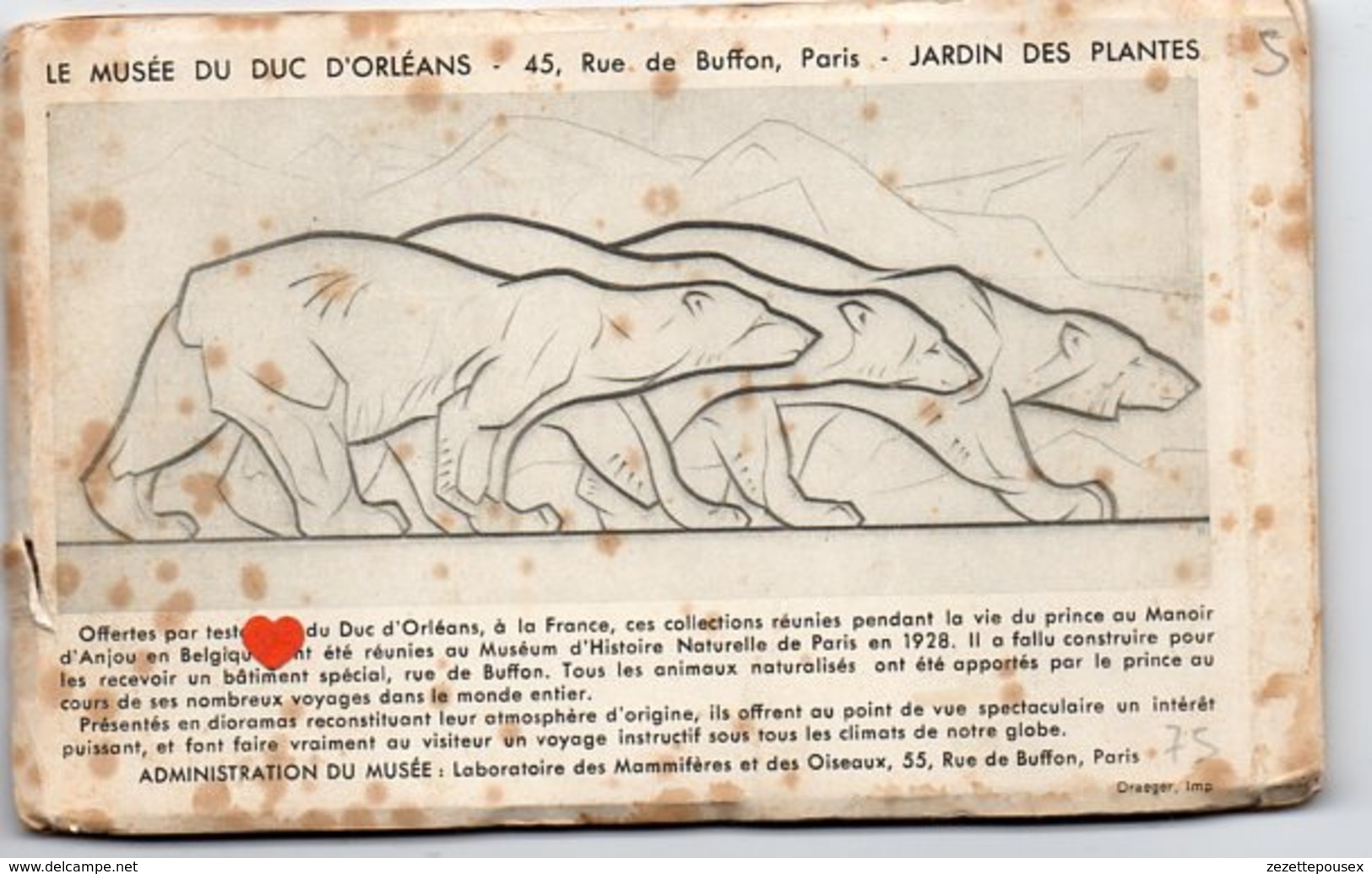 35469-ZE-75-MUSEUM NATIONAL D'HISTOIRE NATURELLE-LE MUSEE DU DUC D'ORLEANS----carnet Album De 9 Vues - Museums