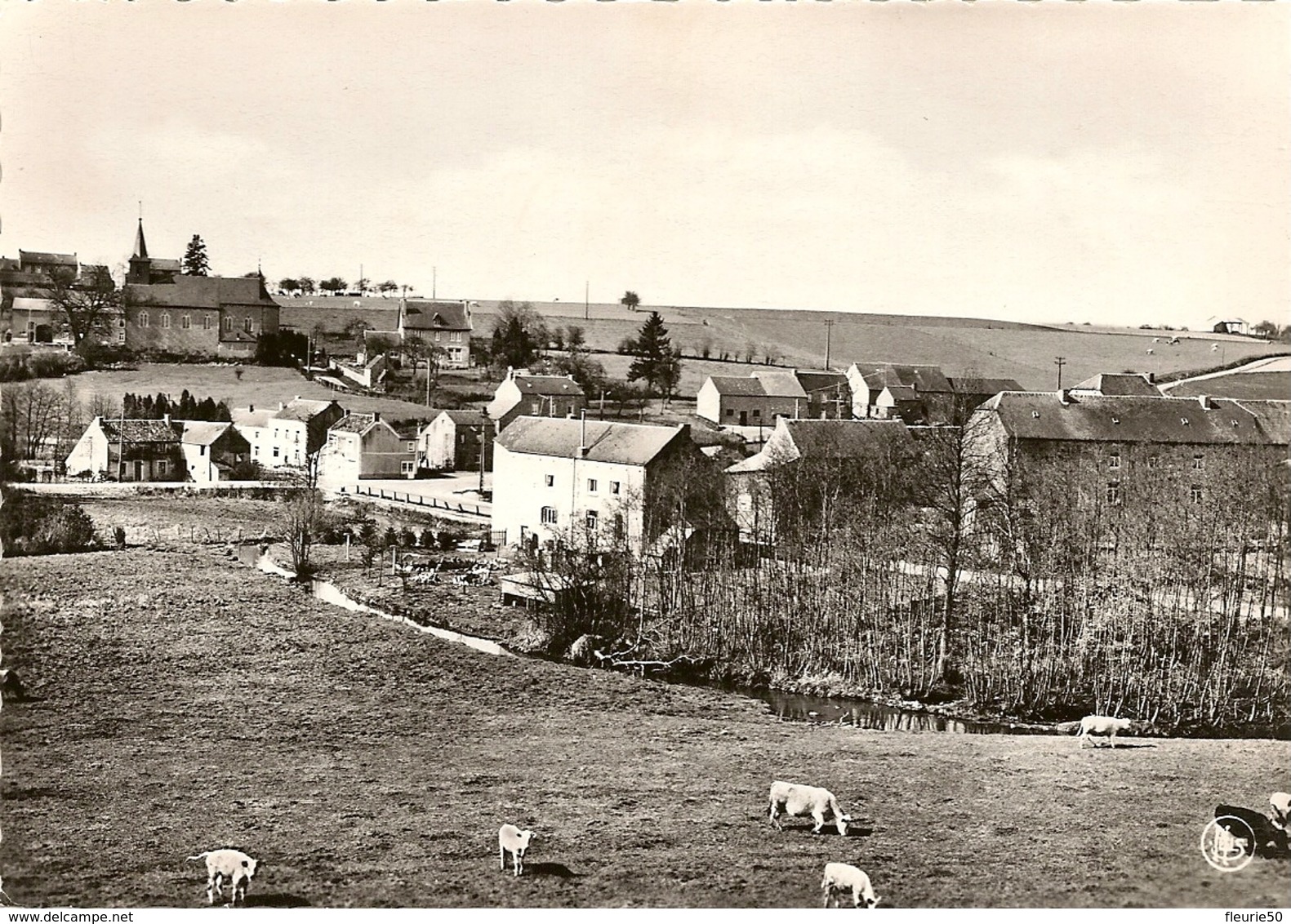 MOHIVILLE - Panorama. Photo Véritable. - Hamois