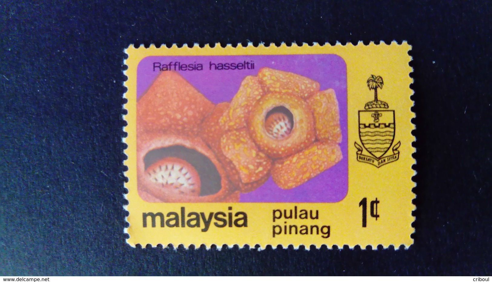 Malaisie Malaysia Malaya Pulau Pinang 1979 Fleur Flower Yvert 74 * MH - Malaysia (1964-...)