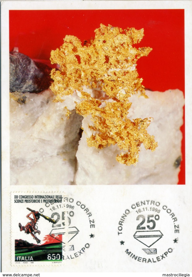 ORO NATIVO  Gold  Or  Postcard  Brousson Aosta  Mineralexpo Torino - Minerals