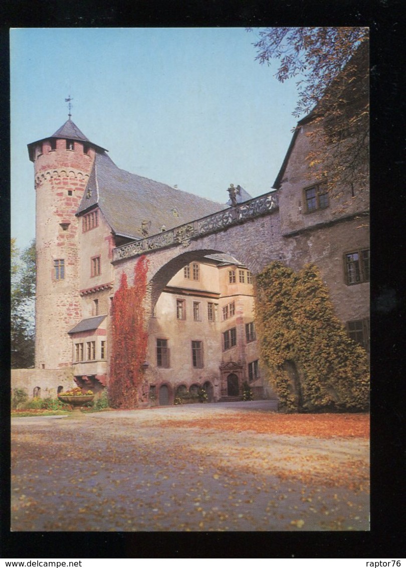 CPM Neuve Allemagne MICHELSTADT Schloss Fürstenau Steinbach - Michelstadt