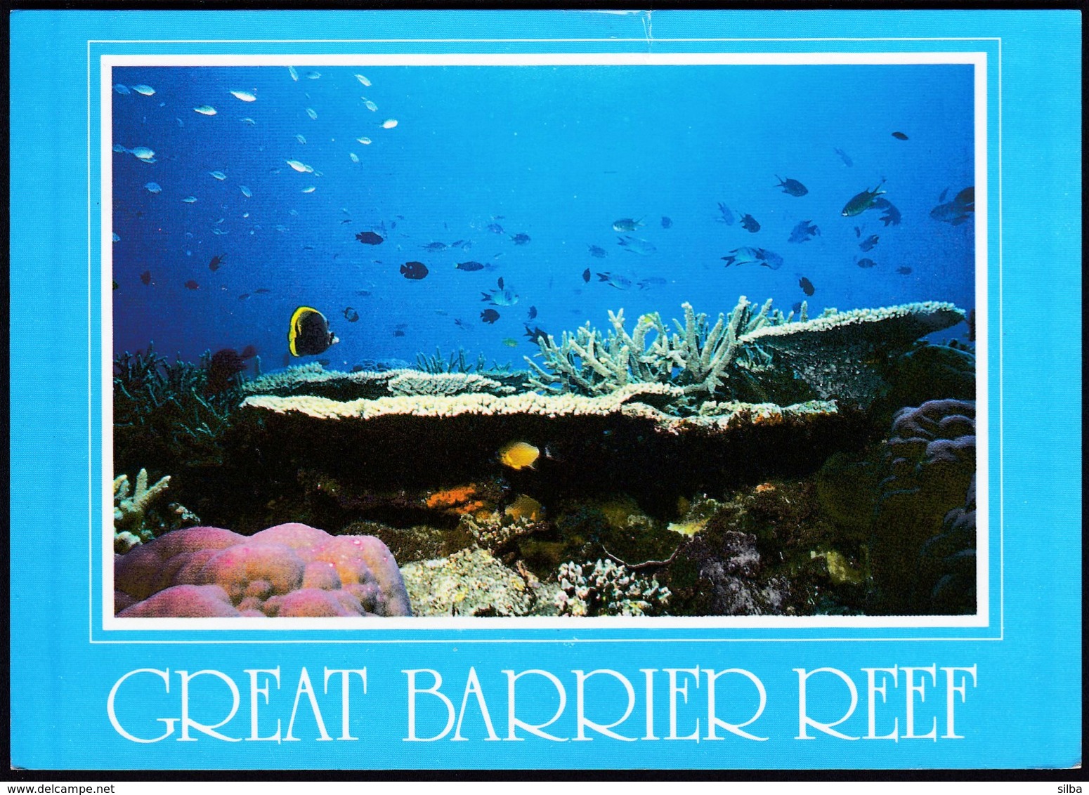Australia / Great Barrier Reef / Magnificent Corals And Fish / Australia Post Part Of The Olympic Team - Great Barrier Reef