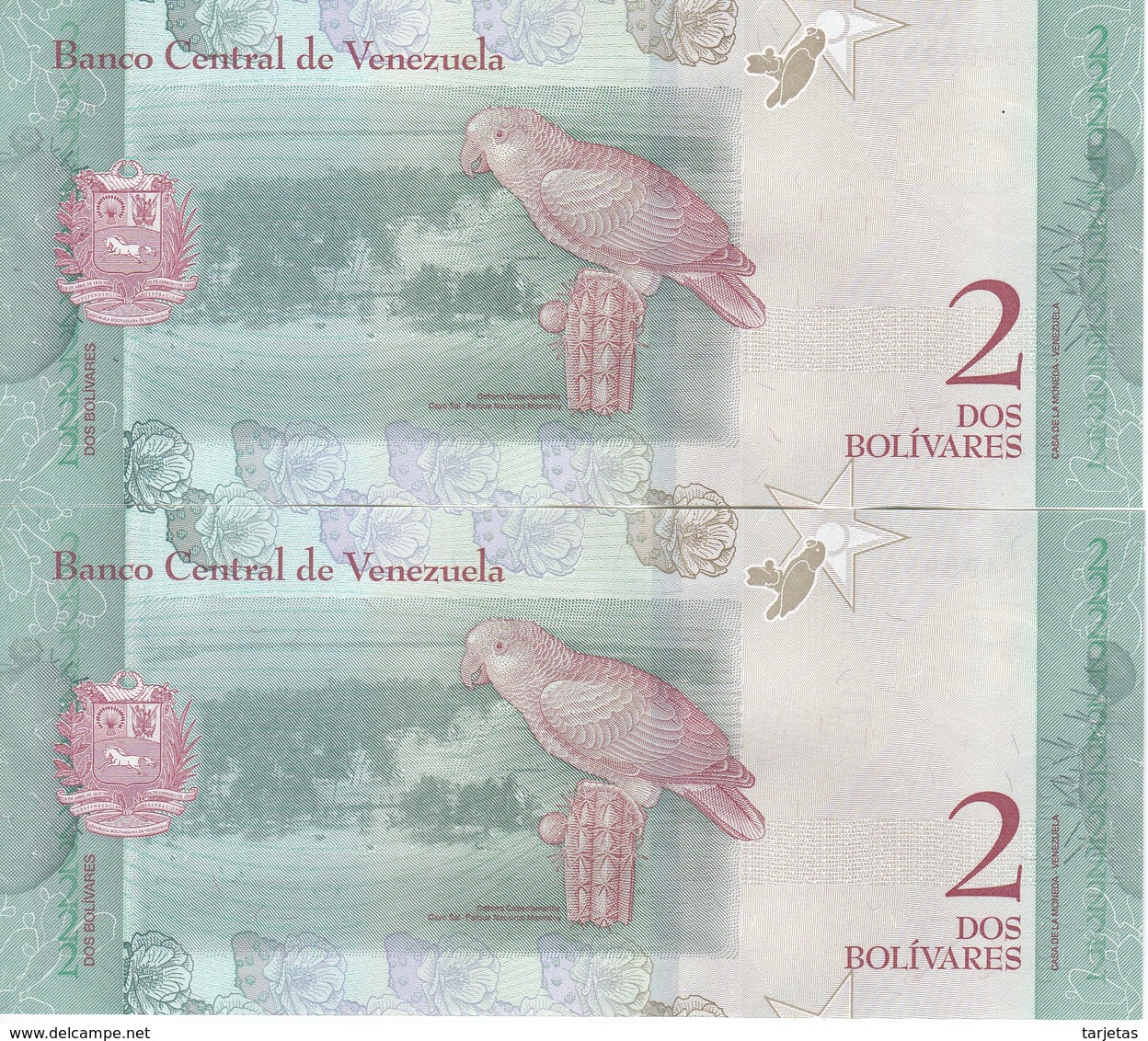 PAREJA CORRELATIVA DE VENEZUELA DE 2 BOLIVARES DEL 15 DE ENERO DEL AÑO 2018 SIN CIRCULAR-UNCIRCULATED -LORO-PARROT - Venezuela