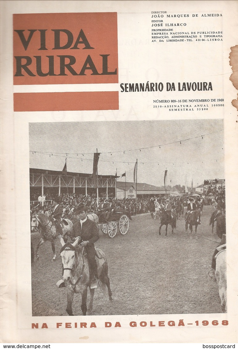 Golegã - Feira De S. Martinho Em 1968 - Vida Rural Nº 809 De 16 De Novembro De 1968 - Gerês - Santarém - Magazines