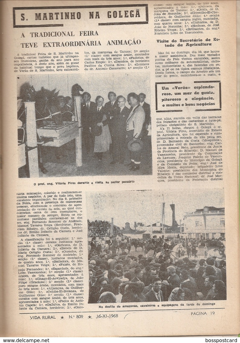 Golegã - Feira De S. Martinho Em 1968 - Vida Rural Nº 809 De 16 De Novembro De 1968 - Gerês - Santarém - Magazines