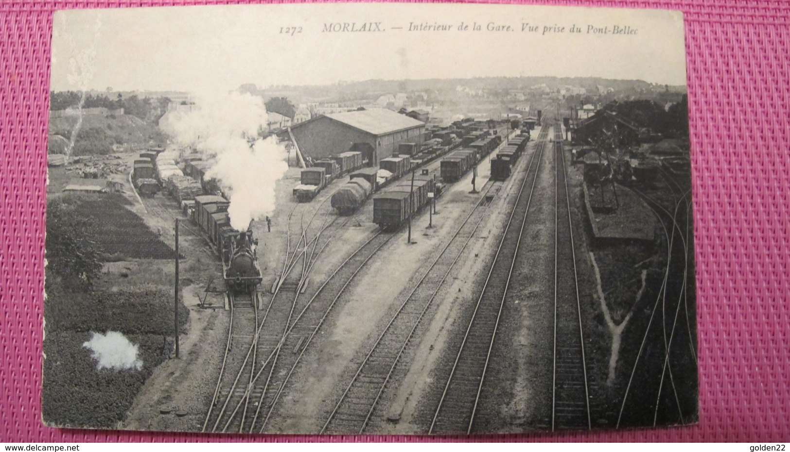 MORLAIX. Intérieur De La Gare . Vue Prise Du Pont-Bellec - Morlaix