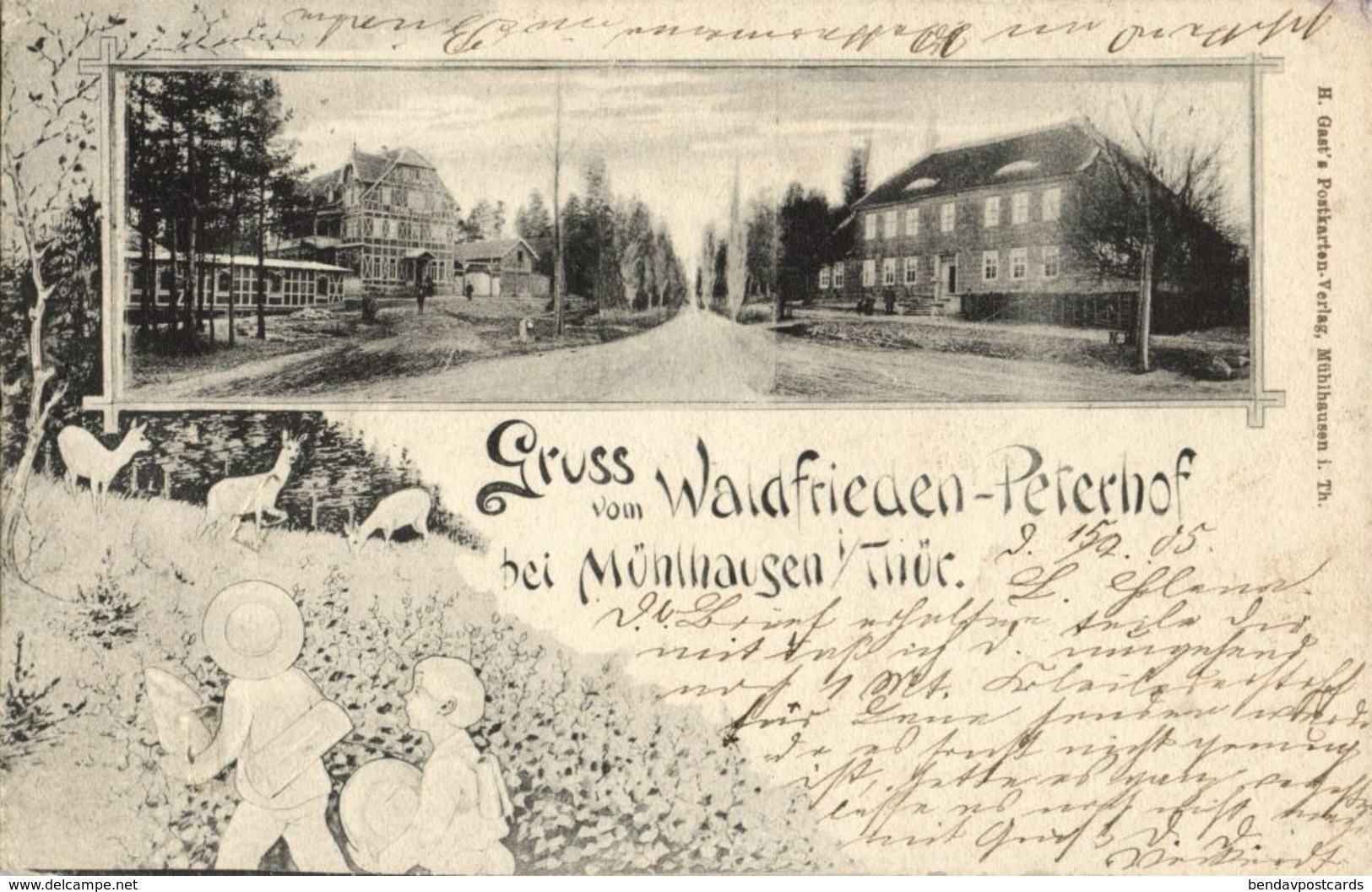 MÜHLHAUSEN I. Thür., Waldfrieden-Peterhof (1905) AK - Muehlhausen