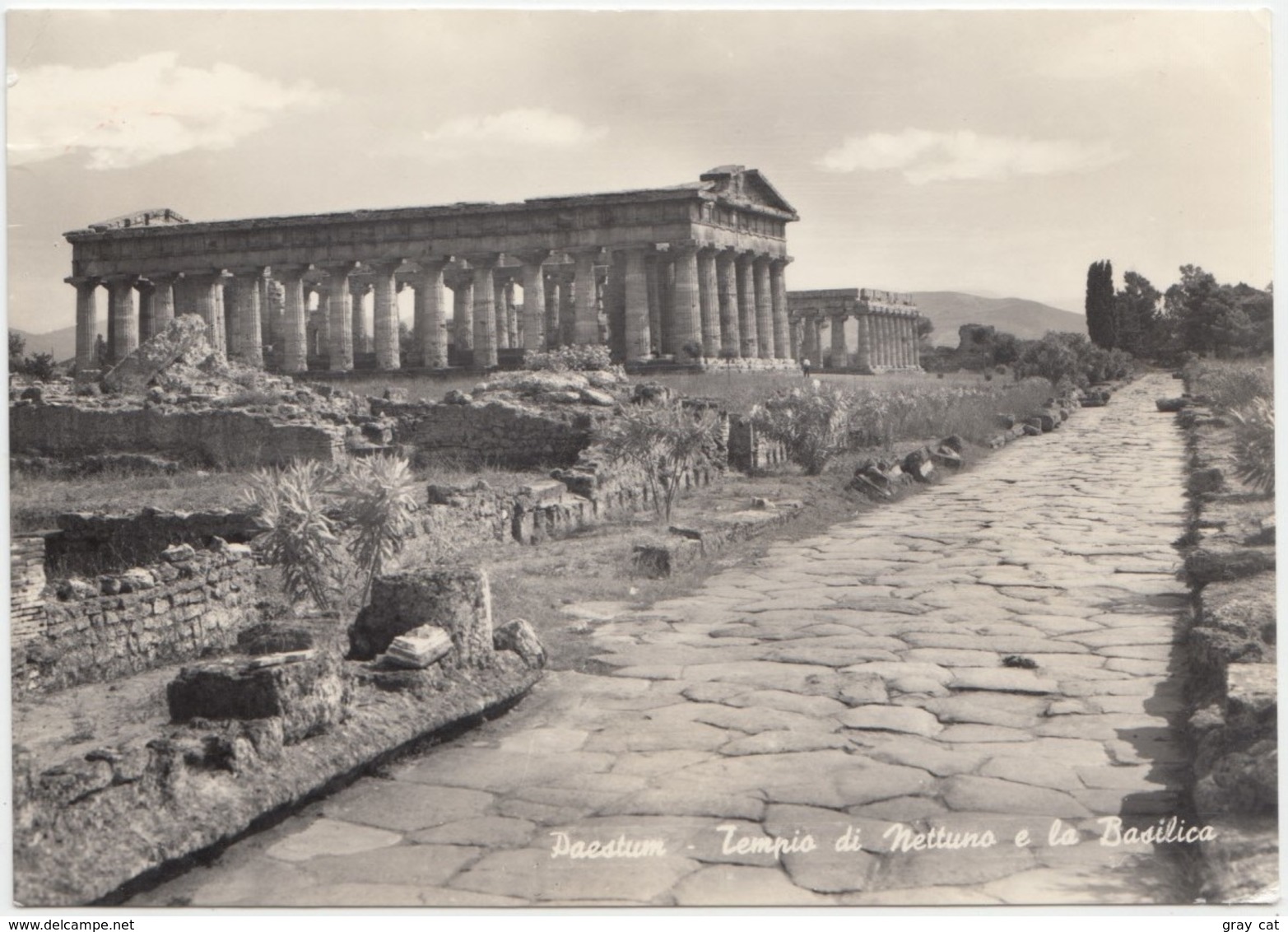 PAESTUM, Tempio Di Nettuno E La Basilica, Neptune's Temple And Basilica, 1964 Used Real Photo Postcard [22071] - Salerno