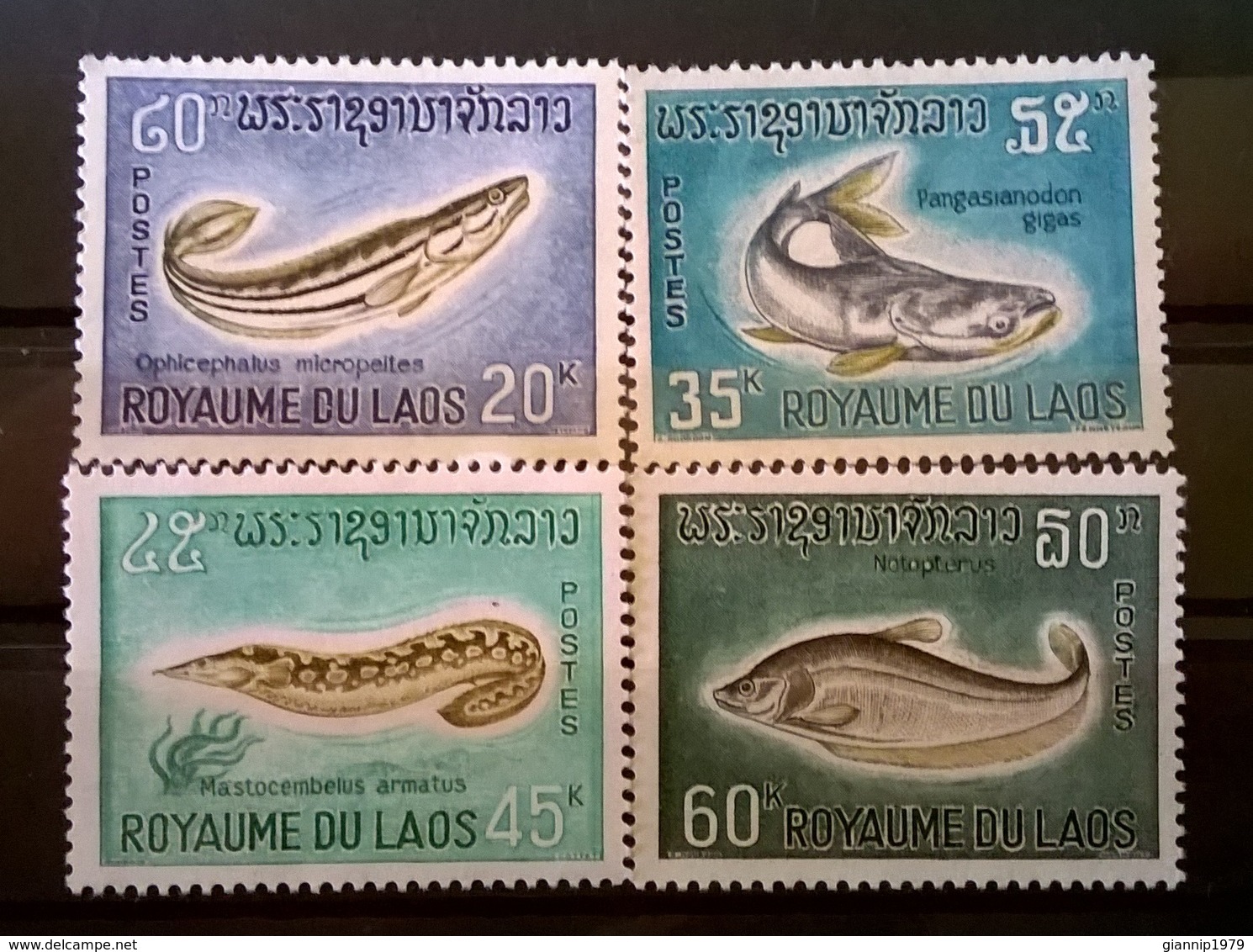 FRANCOBOLLI STAMPS LAOS ROYAUME DU LAOS 1967 MNH** NUOVI SERIE COMPLETA PESCI FISH - Laos