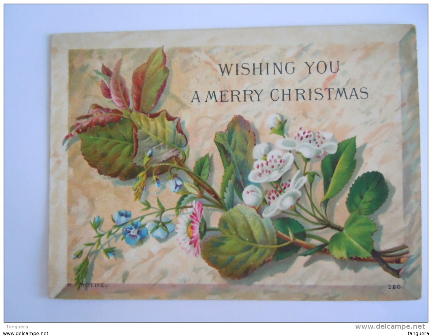 Mignonnette Wishing You A Merry Christmas Kerstroos Ellébore Used 1879 H. Rothe 220  Form. 9  X 12 Cm - Autres & Non Classés