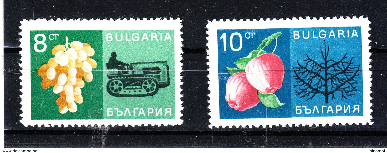 Bulgaria - 1967. I Due Francobolli  " Frutta ". Uva E Melograno.Only Stamps "Fruits " Of Series.Grapes Pomegranates. MNH - Frutta