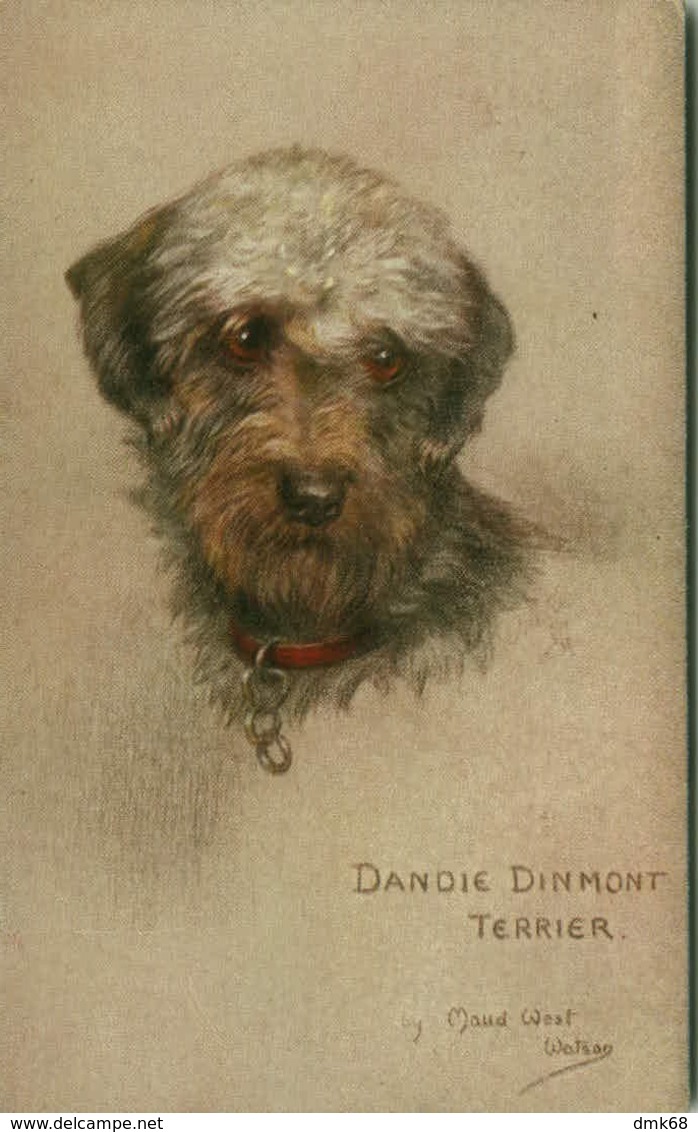 TUCK'S 1910s POSTCARD SIGNED BY MAUD WEST WATSON - DANDIE DINMONT TERRIER - SERIES SKETCHES OF DOGGIES N.9681 (BG1146) - Tuck, Raphael