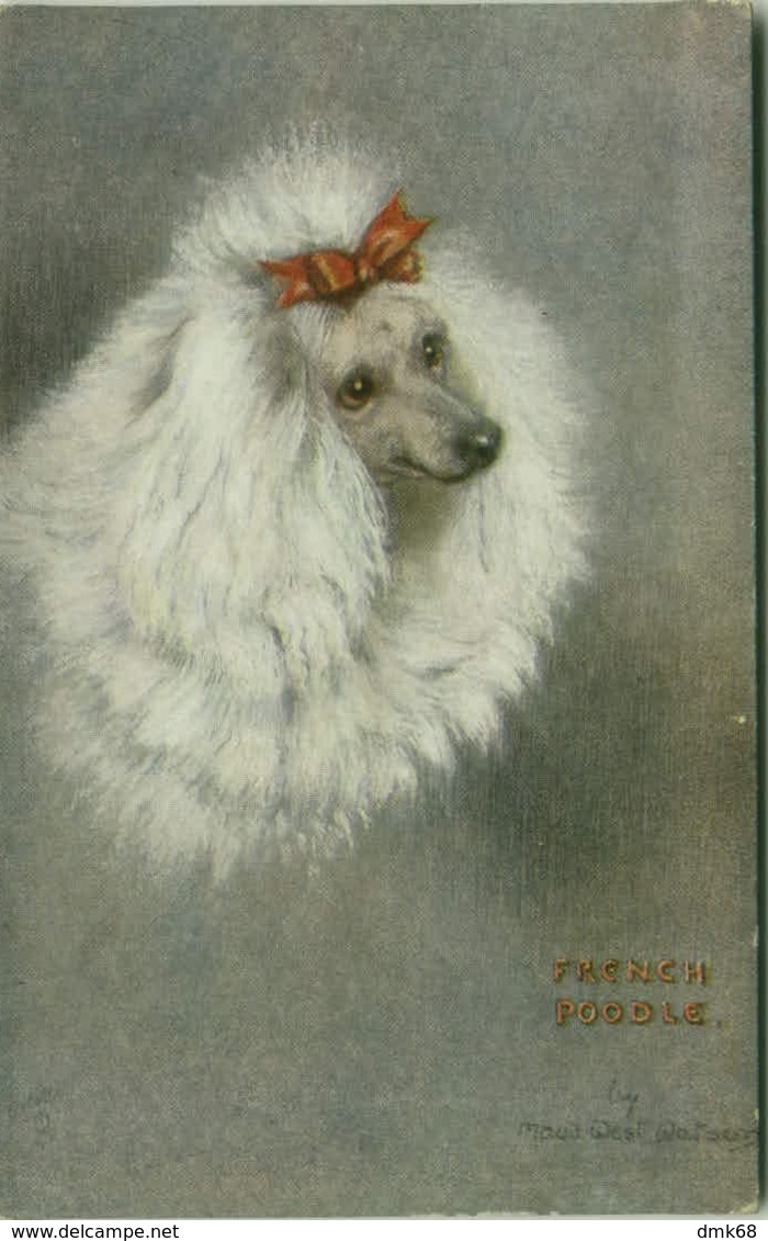 TUCK'S 1910s POSTCARD SIGNED BY MAUD WEST WATSON - FRENCH POODLE - SERIES SKETCHES OF DOGGIES N.3346 (BG1148) - Tuck, Raphael