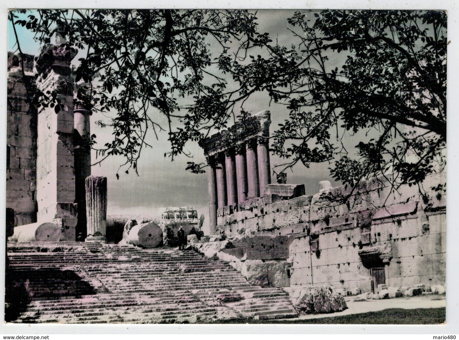 LEBANON   BAALBECK   THE  STEPS OF  BACCHUS & SIX  COLUMNS OF  JUPITER  TEMPLE      2 SCAN   (VIAGGIATA) - Libano