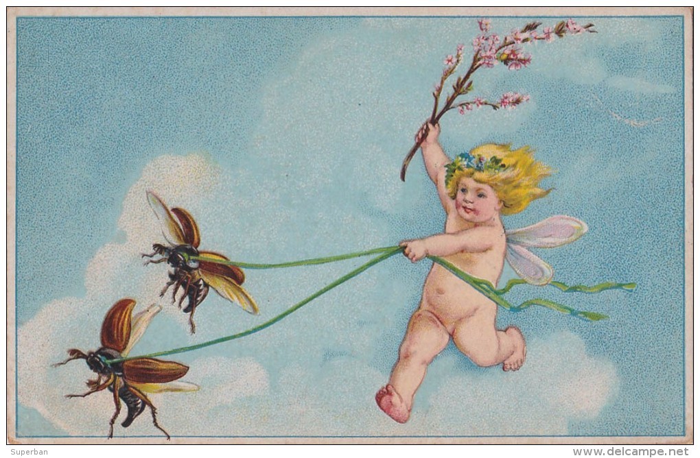 BÉBÉ NU / ANGELOT En CIEL Et COCCINELLE / NAKED BABY In THE SKY And BEETLE : EULEN VERLAG BERLIN ~ 1905 - 1910 (u-125) - Bébés