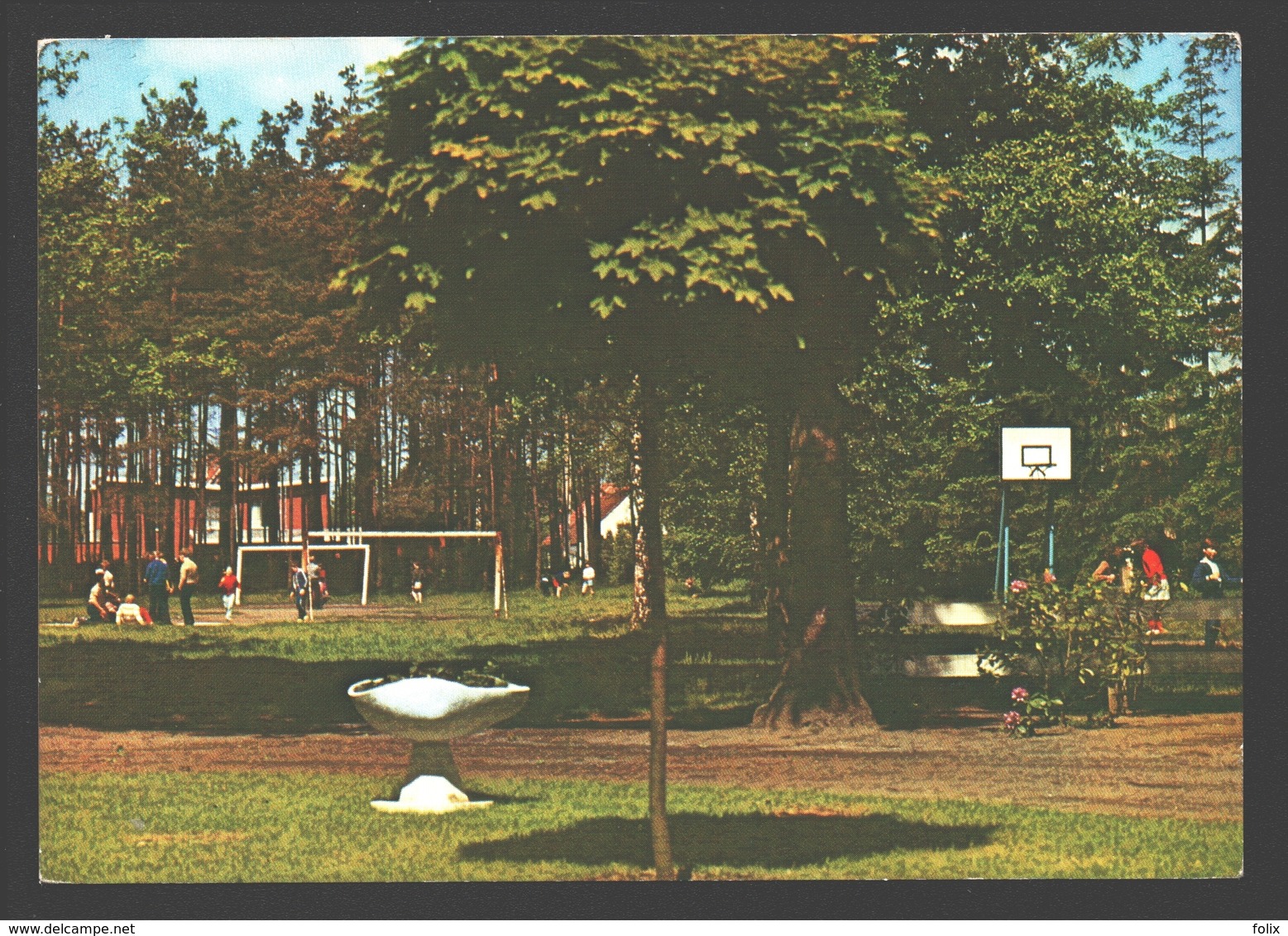 Kalmthout-Heide - Openluchtschool Voor Bosklassen Domein Diesterweg - Kalmthout