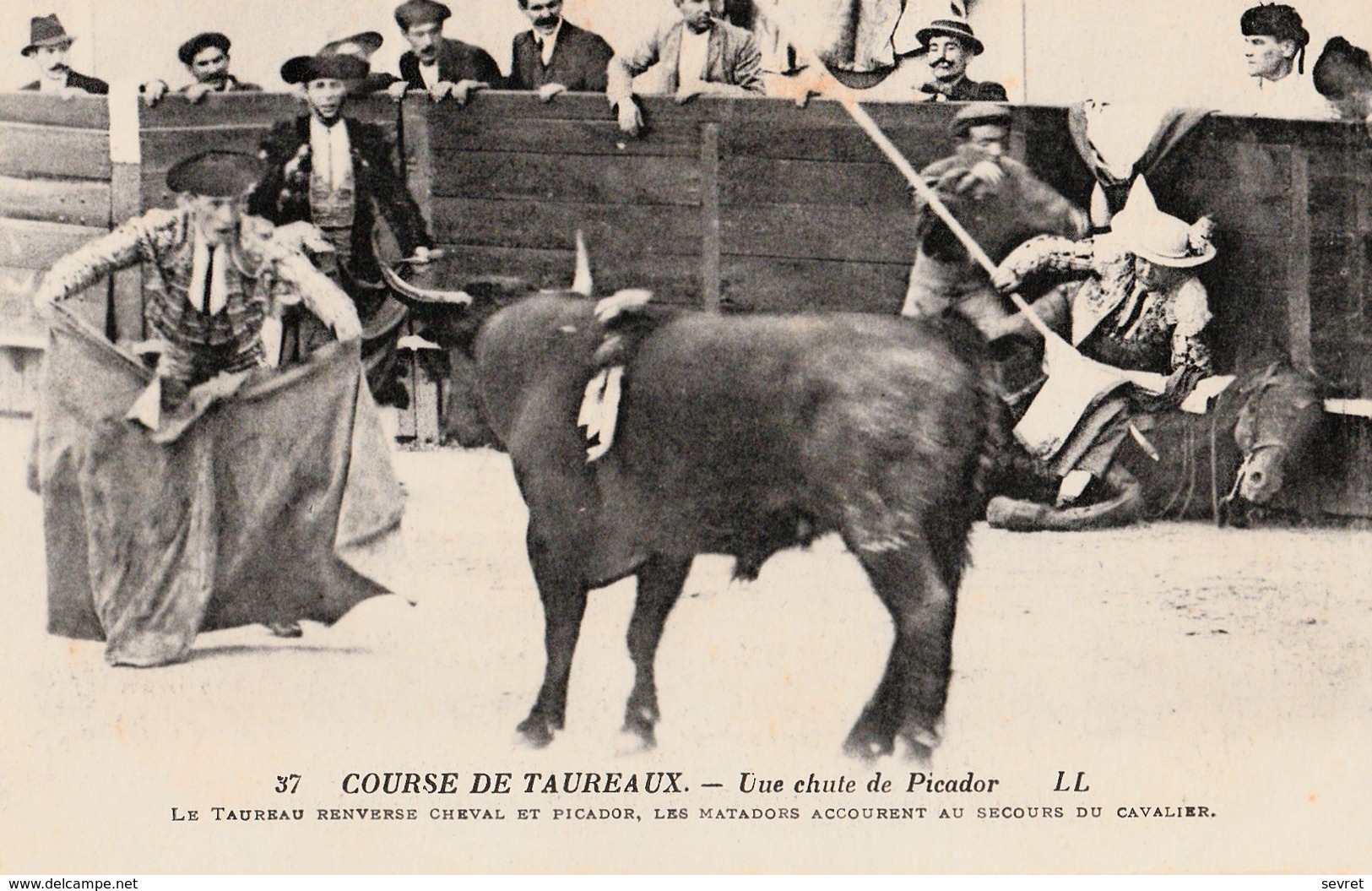 COURSE DE TAUREAUX - Une Chute De PIcador  Carte Rare - Corridas