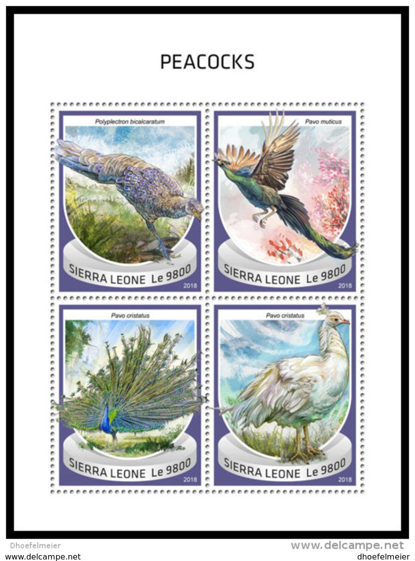 SIERRA LEONE 2018 MNH** Peacocks Pfauen Paons M/S - IMPERFORATED - DH1843 - Paons