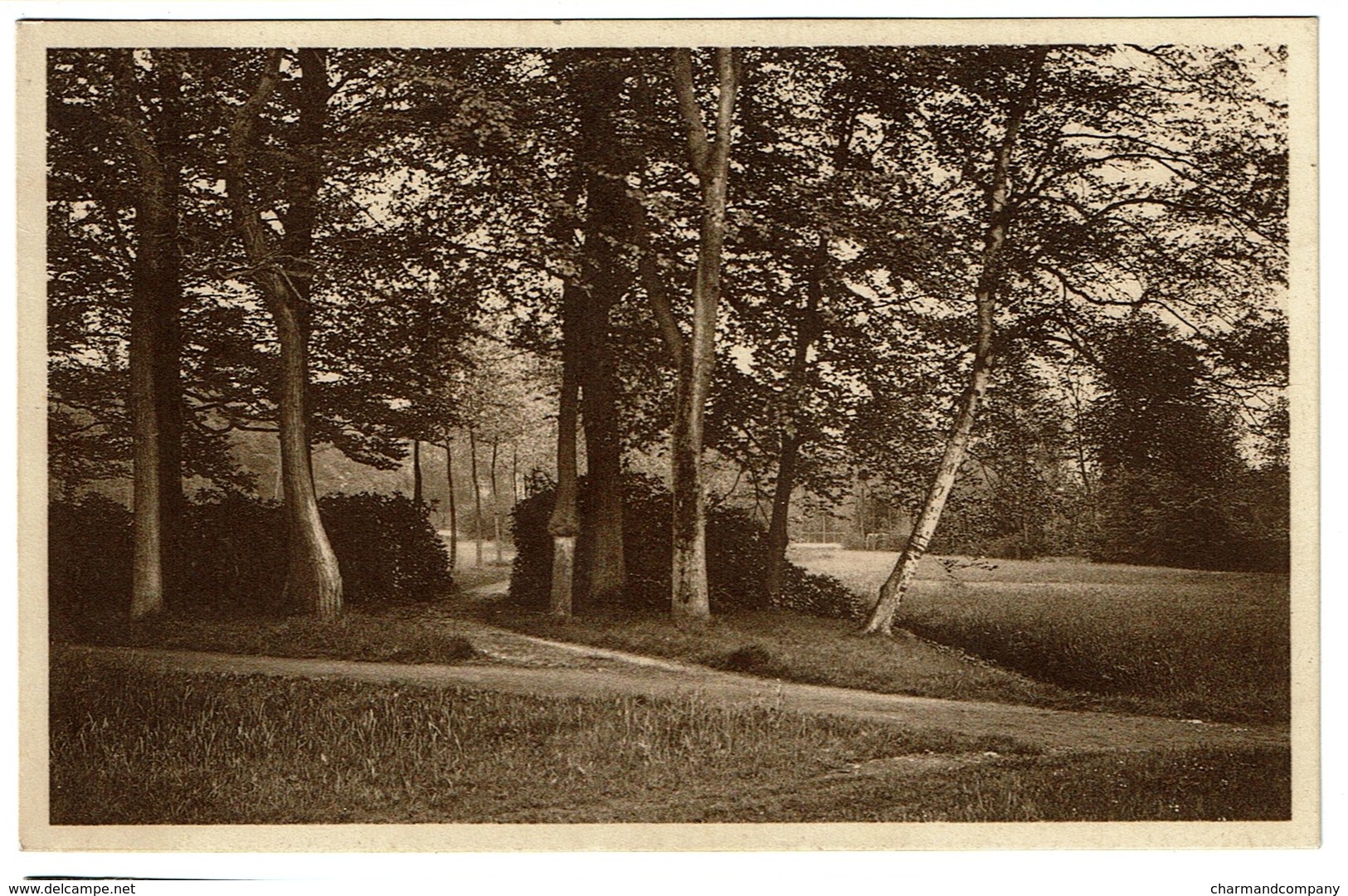 Westerloo - Landschap - Circulée - Uitg. A. Geerts-Berghmans - 2 Scans - Westerlo