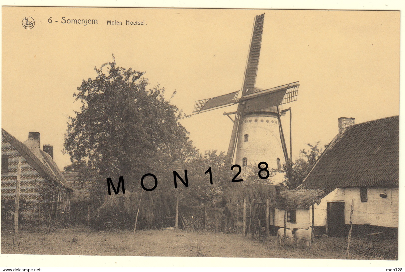 BELGIQUE - ZOMERGEM / SOMERGEM - MOLEN HOETSEL (MOULIN A VENT) - Zomergem