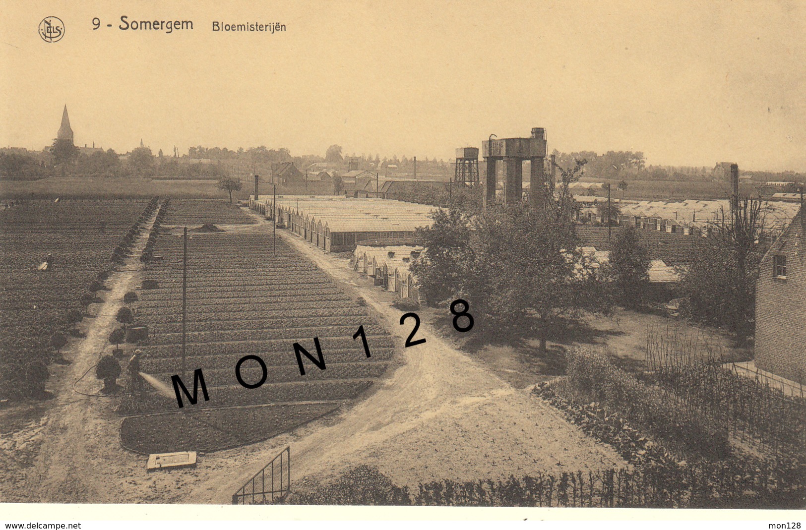 BELGIQUE - ZOMERGEM / SOMERGEM - BLOEMISTERIJËN - Zomergem